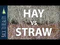 Know your garden mulch Hay vs Straw