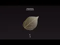 Download Lagu Paradoks - Surrender (Continuous EP Mix)