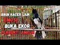 Lagu AWAS KACERMU KONSLET JEBOL EMOSINYA DENGAR INI LANGSUNG ON BONGKAR ISIAN !! KACER GACOR ISIAN..