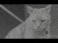 LIVENODING 795 SV Image Dither Script Node