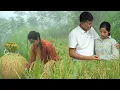 Lagu Linda Harvests Rice – Linda And CEO Quang Overcome A Difficult Period In CEO Quang’s Career Together