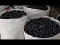 हिमतीने ऊभा केला ठिबक सिंचन कारखाना | Drip irrigation | drip business | Tibak sinchan | Modern Sheti