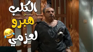 يا ترى مين اللي حط الكلب و القطه لحتى هيك صار مع عزمي اجمل تجميعة من مسلسل قلة ذوق و كترة غلبة 