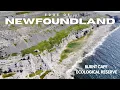 At the Edge of Newfoundland Exploring Burnt Cape s Wild Coast