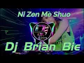 Download Lagu Ni Zen Me Shuo 你怎麼說 Remix By Dj Brian Bie