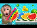Download Lagu Monyet Bon Bon Imut melarikan diri dari Labirin Penjara untuk bertemu Bebek dan memanen semangka