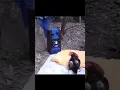 Download Lagu #funny #chicken #alarm #jokes #sleeping #woods