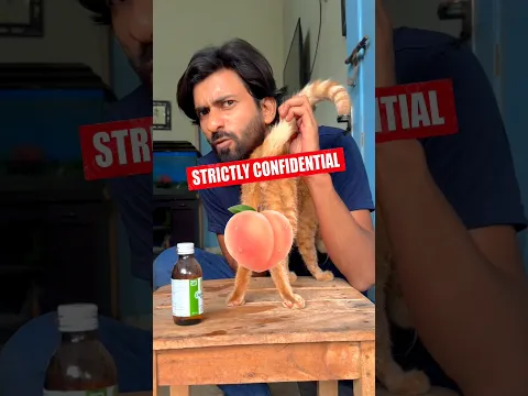 Constipation 😣 #shorts #viral #cats #petcare #pets