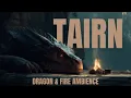 Fourth Wing Ambience Cozy Fireplace with Tairn at Basgiath War College 3H