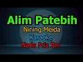 Download Lagu ALIM PATEBIH NINING MEIDA KARAOKE NADA PRIA