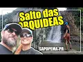 Download Lagu SALTO DAS ORQUÍDEAS - SAPOPEMA - PR
