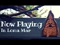 Now Playing in Loma Mar