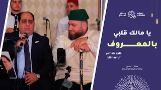 يا مالك قلبي بالمعروف فرقة الوهاب عدنان الحلاق Yamalk Qalbi Bilmaeruf Adnanalhallakofficial 