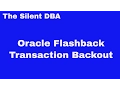 Oracle Flashback Transaction Backout