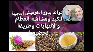 فوائد بذور الخرفيش للكبد وهشاشة العظام والإلتهابات وطريقة الإستعمال     بذور الخرفيش  هشاشة العظام دندنها