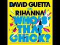 Who's That Chick ? (feat. Rihanna)