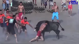 لقطات مضحكة للثيران وهي تطارد الجماهير في شوارع أسبانيا 