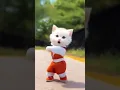 Download Lagu Kucing Imut Joget Lucu #kucing #kucinglucu #kucingjoget