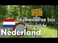 Lagu NEDERLAND Wandeling in het Hulkesteinse bos bij Zeewolde