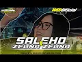 Download Lagu DJ TERBARU SALEHO X ZUENA ZUENA PARTY MBEROT COCOK BUAT KARNAVAL ‼️