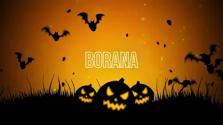 Borana ቦራና Yesterday And Today Origin Of Ancient Democracy 