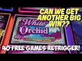 Retriggers Would Not Stop on this White Orchid Slot Machine BIG WIN