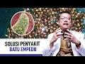 Lagu Batu Empedu: Gejala, Penyebab, dan Cara Mengatasi | Kata Dokter