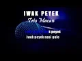Karaoke Iwak Peyek - Trio Macan (Tanpa Vokal)