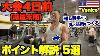 【解説付き】初心者の方にもおすすめな効きまくる腕トレ＆大会4日前(減量末期)の衝撃のラストは必見です。