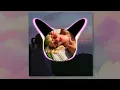 Taylor Swift - Cruel Summer (LP Giobbi Remix) (Visualizer)