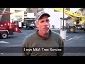 New Jersey s Tree Trimming M A Tree Service