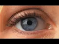 Download Lagu Into Your Arms - Witt Lowry (feat. Ava Max) Release. [ No Copyright ]