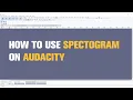 How to Use Spectrogram on Audacity Quick Guide