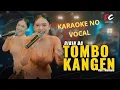 Download Lagu Tombo Kangen No Vocal _ RIRIN DA
