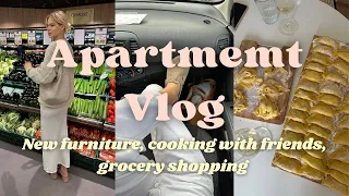 APARTMENT VLOG I New furniture cooking with friends grocery shopping