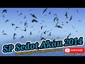 Download Lagu Suara Panggil Tarik Inap Burung Walet