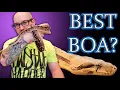 Lagu What is the BEST BOA? Dumerils Boa vs Red Tail Boa vs Common Boa Comparison