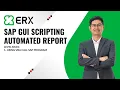 SAP GUI Scripting Automated Report with VBA - Level Basic