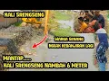 Download Lagu Mantap...Kali Srengseng Nambah Lebar || normalisasi kali || kdm || dedi mulyadi.