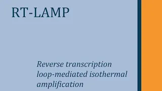 RT-LAMP: Como funciona?