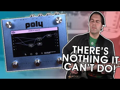 Poly Effect Beebo Multi-FX Pedal | Delicious Audio