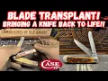 Blade Transplant Bringing a Case XX Trapper Back to Life