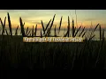 Coritos Cristianos Poderosos Que Refrescan Tu Alma - Cruz y Blues Worship