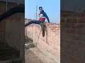Download Lagu Yei Kabutri   Bhojpuri Song Dance  #youtubeshorts #bhojpuri #k2 #krishnakakkar #dance