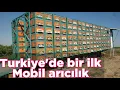 Yeni sistem modern tır üstü mobil arıcılık