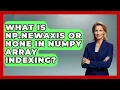 What Is Np newaxis Or None In NumPy Array Indexing - Python Code School