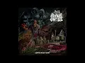 Download Lagu Grave Ghoul - Living Dead Flesh (Death Metal)