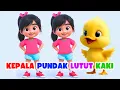 Kepala Pundak Lutut Kaki ( versi baru 2025 ) | Head Shoulders Knees \u0026 Toes Nursery Rhymes Indonesia