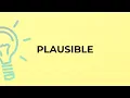 What is the meaning of the word PLAUSIBLE