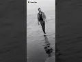 Download Lagu visit my snack video profile https://sck.io/u/aTBbFsCH